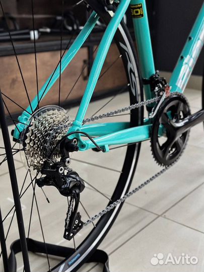 Bianchi Via Nirone 7