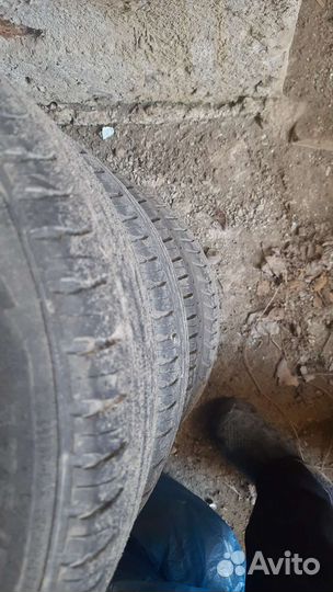 Nokian Tyres Nordman SX2 175/70 R13