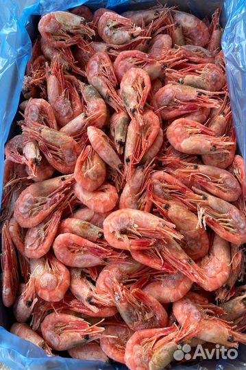 Креветка оптом