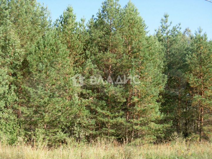 Участок 50 сот. (личное подсобное хозяйство (лпх))