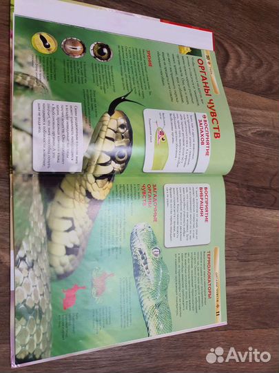 Книги- энциклопедии для детей