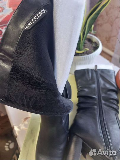 Сапоги женские демисезонные