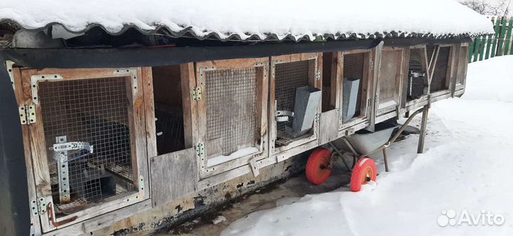 Клетки для кроликов