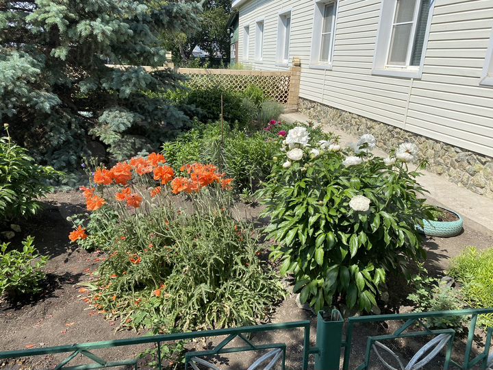 Дом 114 м² на участке 9 сот.