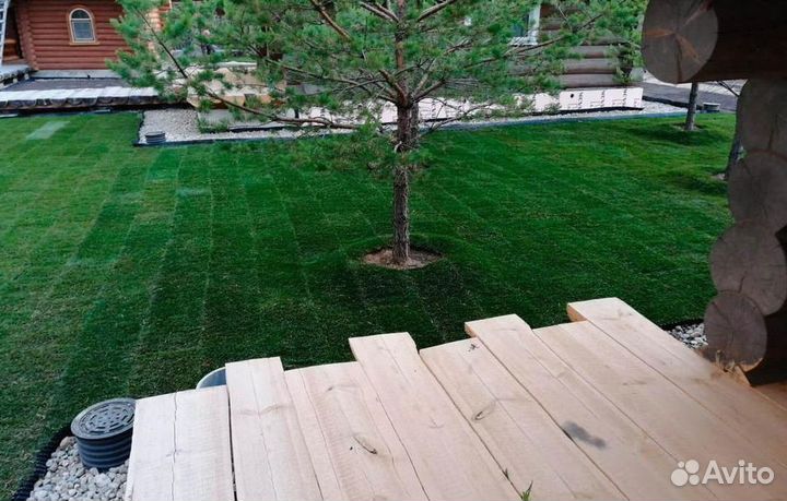 Рулонный газон под ключ