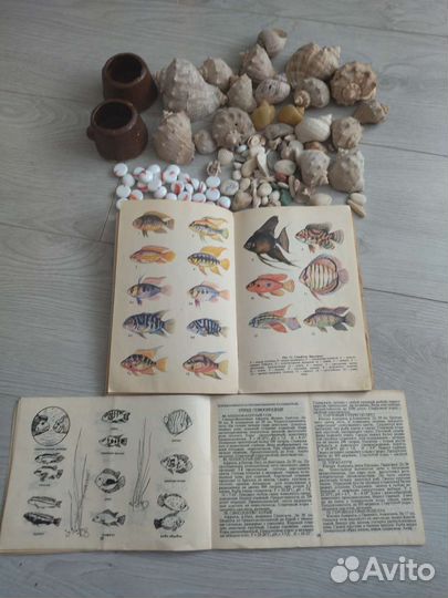 Для аквариума ракушки, книги