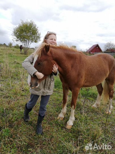 Кинолог зоопсихолог, зоотакси