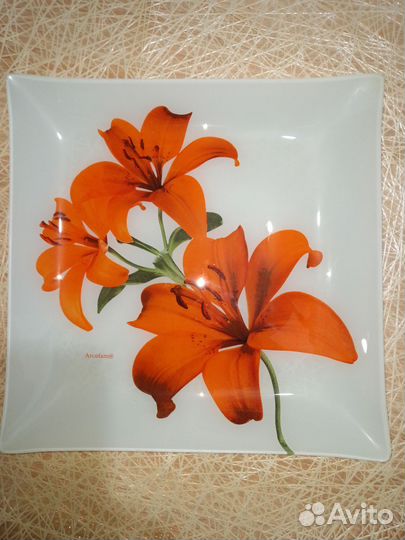 Тарелки прямоугольные (6 тарелок и 1 блюдо)