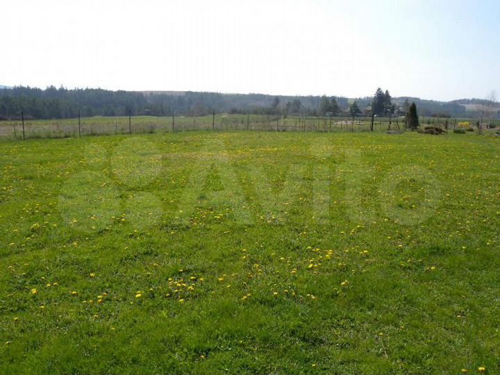 Участок 10 сот. (ИЖС)