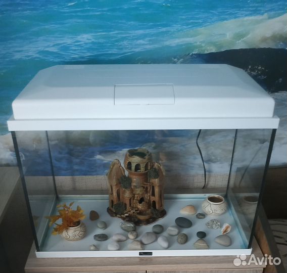 Аквариум