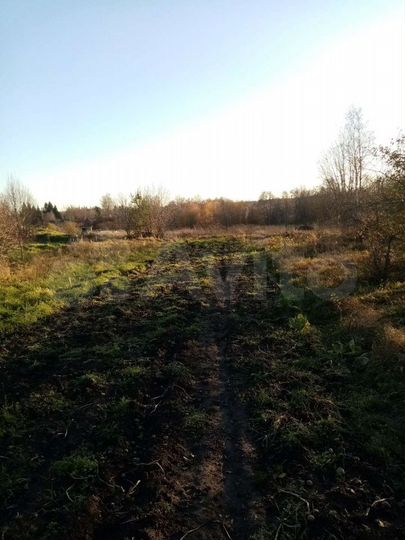 Участок 15 сот. (ИЖС)