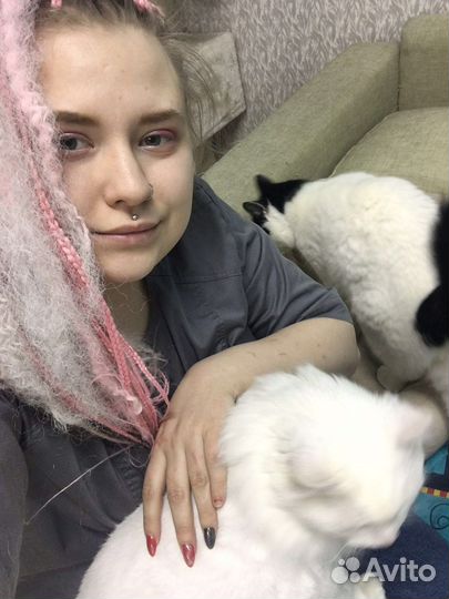 Ветеринарный врач-терапевт, ратолог на дом