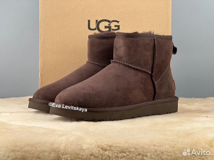 Угги женские Ugg Classic Mini II Chocolate