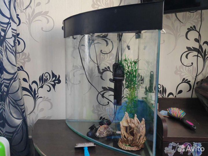 Аквариум