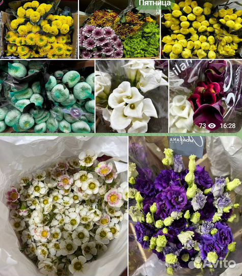 Цветы Розы Оптом