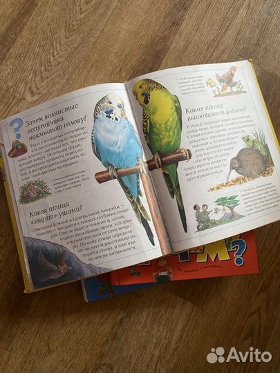 Энциклопения для любознательных Что Где Когда