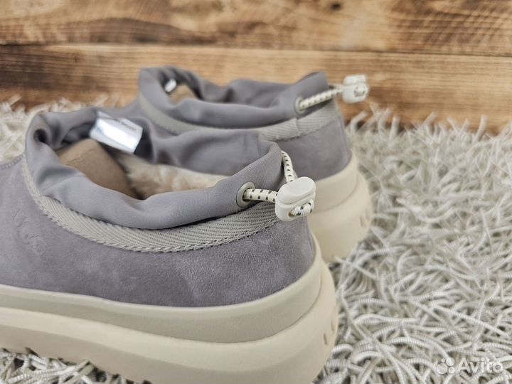 Угги UGG Tasman Hybrid Seal Birch оригинал