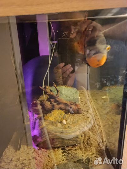Аквариум с тумбой