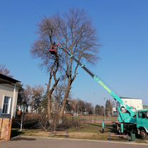 Аренда и услуги телескопической автовышки, 23 м