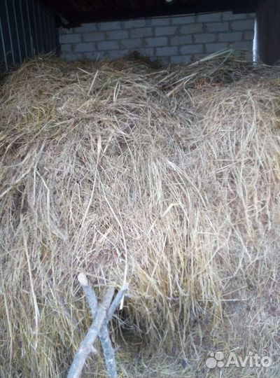 Сено луговое