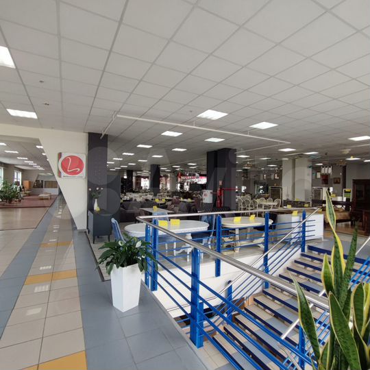 Торговая площадь, 221.5 м²