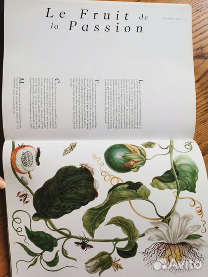 Книга Les Fruits