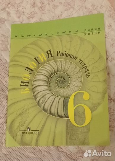 Рабочим тетради 6 класс