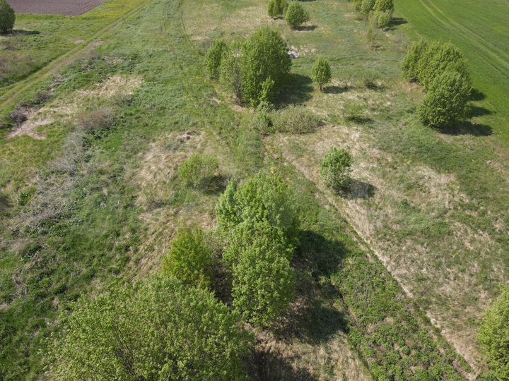 Участок 20 сот. (ИЖС)