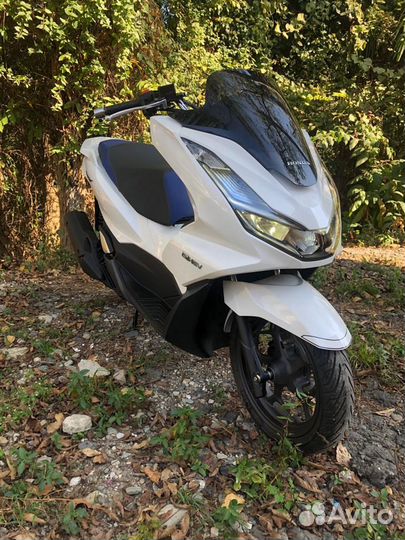Honda PCX гибрид новый