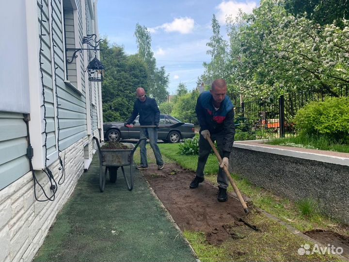 Разнорабочие на копку. Благоустройство участка
