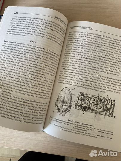 Атлас анатомия и физиология человека