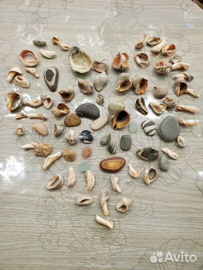 Морские ракушки и камушки