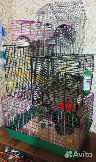 Клетки для грызунов, крыс