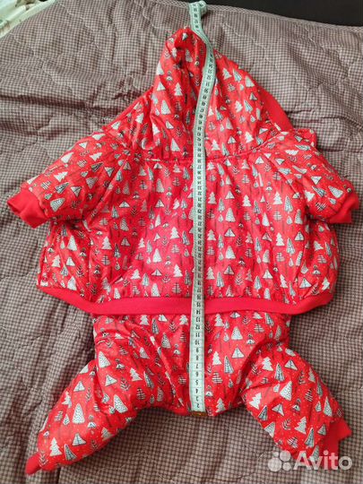 Одежда для собак