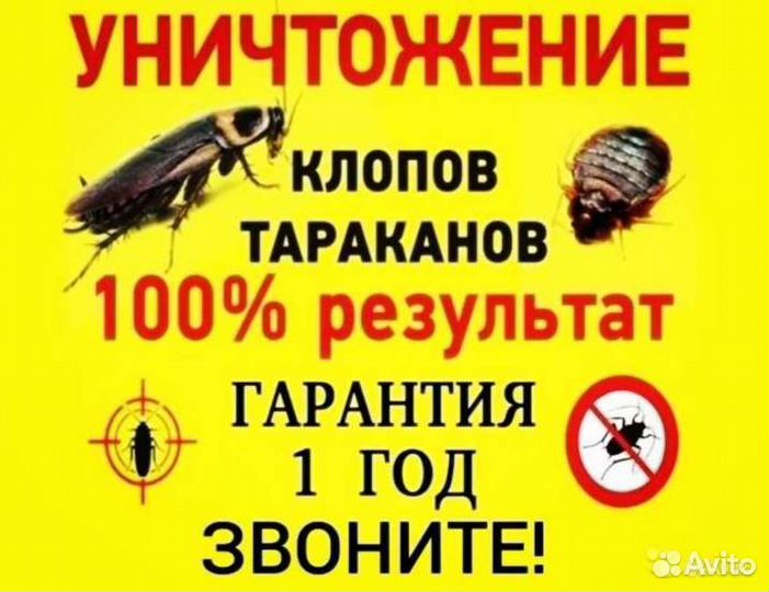 Уничтожение клопов тараканов блох мышей плесени