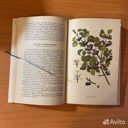 Фитотерапия. Лечение растениями. Ковалева Н. Г