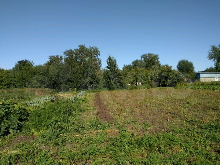 Дом 90 м² на участке 100 сот.