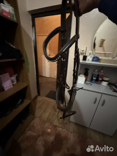 Анатомическая уздечка