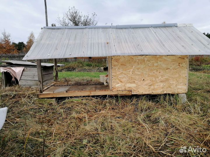 Курятники и будка для собак на заказ
