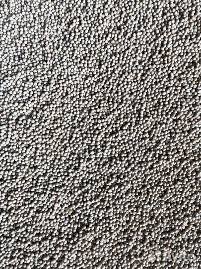 Семена Гороха