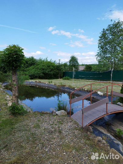 Отдых на природе. Аренда беседок, домиков