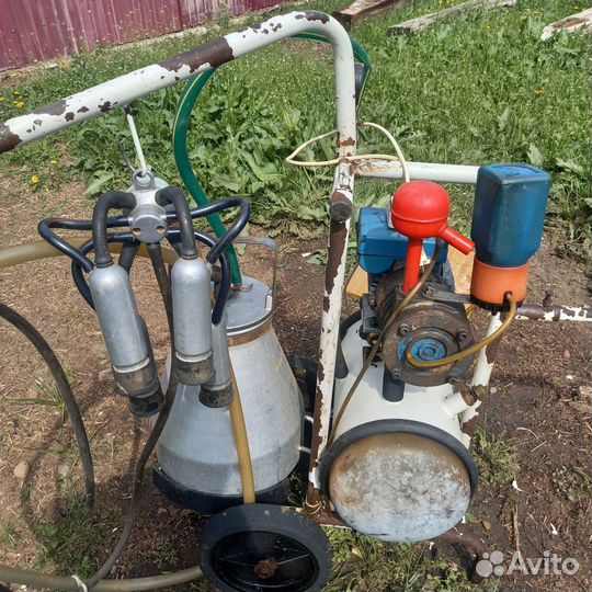 Доильный аппарат для коров