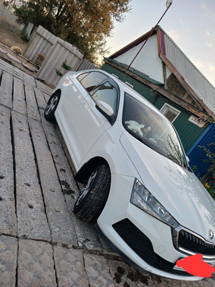 Skoda Rapid: фото владельца
