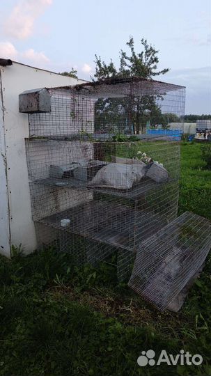 Клетка для кроликов, птиц
