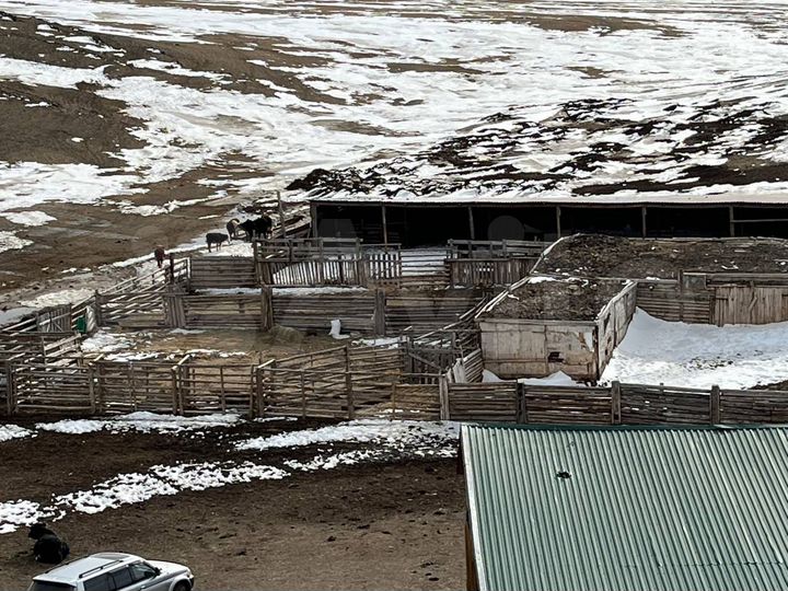 Участок 100 сот. (СНТ, ДНП)