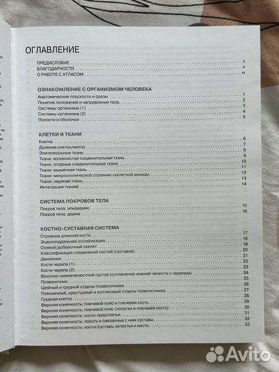 Атлас анатомии человека (раскраска)