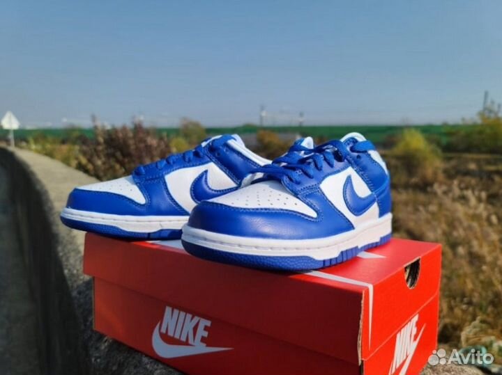 Кроссовки nike dunk low sp blue (cиние)