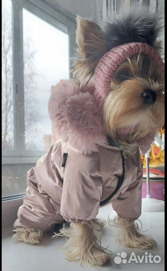 Комбинезон зимний для собаки (девочка)
