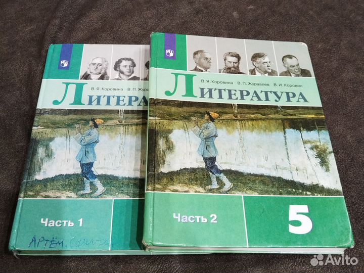 Учебники по русскому и литературе 5 класс