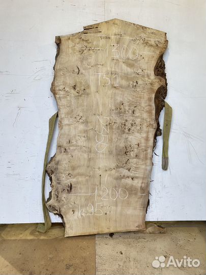 Слэб тополя